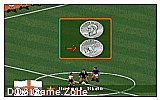 FIFA International Soccer (demo) DOS Game