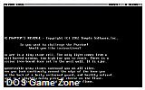 Phantom's Revenge, The DOS Game