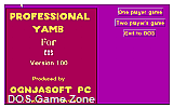 Professional Yamb DOS Game