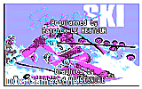 Super Ski (CGA) DOS Game