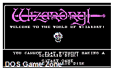 Wizardry- Proving Grounds of the Mad Overlord (re-release) DOS Game